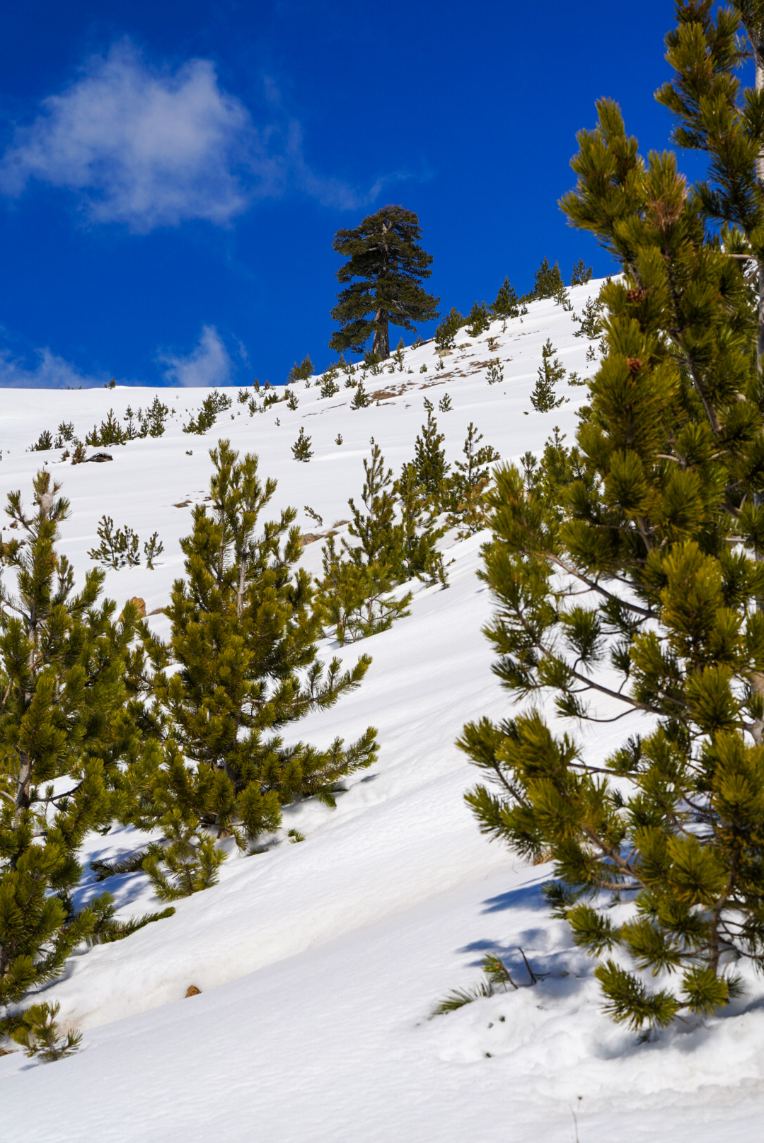 Cretes du pinde, pinde — périvoli et vasilitsa, lors d’une itinérance à ski en Grèce.